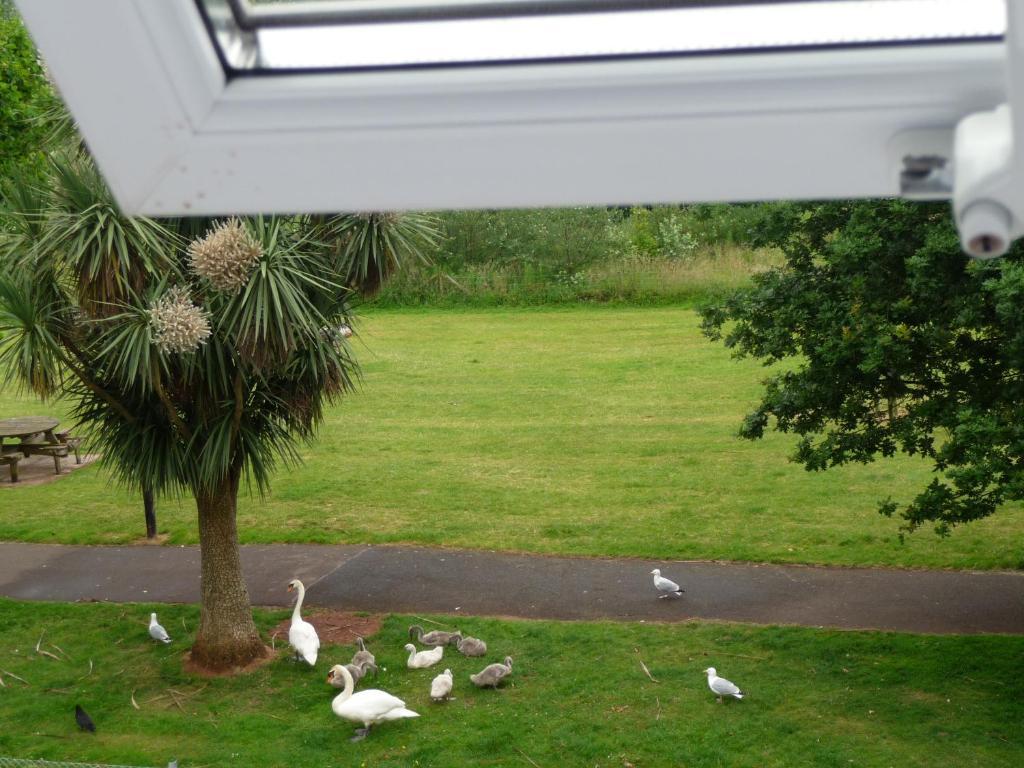 The Wentworth Guest House Paignton Bilik gambar